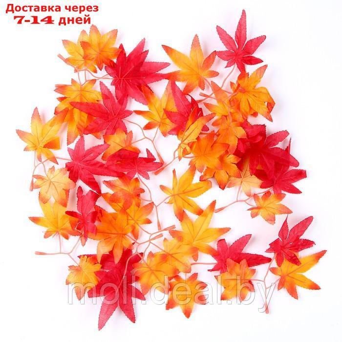 Декор "Осенняя веточка с листьями" набор 15 шт, размер 1 шт 13,5*13*0,2 см - фото 3 - id-p216354836