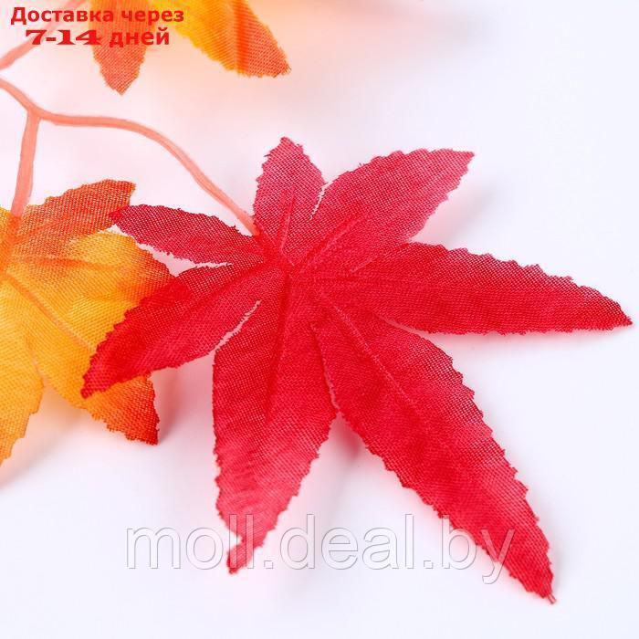 Декор "Осенняя веточка с листьями" набор 15 шт, размер 1 шт 13,5*13*0,2 см - фото 5 - id-p216354836