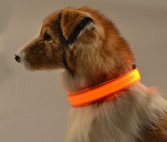 Светящийся ошейник для собак (3 режима) Glowing Dog Collar Оранжевый М (MAX 45 sm) - фото 1 - id-p216374929