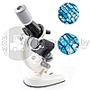 Детский набор Юный биолог Микроскоп Scientific Microscope с приборами для опыта Голубой, фото 4