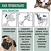 Многоразовый шприц (таблеткодаватель) Feeding Kit для домашних животных (2 насадки для жидких и твердых, фото 5