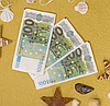 Купюры бутафорные доллары, евро, рубли (1 пачка) / Сувенирные деньги 500 Euro бутафорных (100 шт. в пачке), фото 8