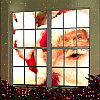 Проектор на окно Star Shower Window Projector 12 мини фильмов, фото 4