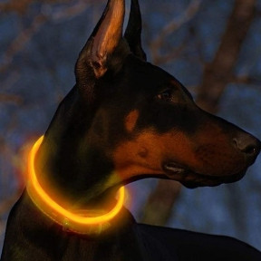 Светящийся ошейник для собак (3 режима, зарядка USB) Желтый (Yellow), размер М - фото 1 - id-p216374535