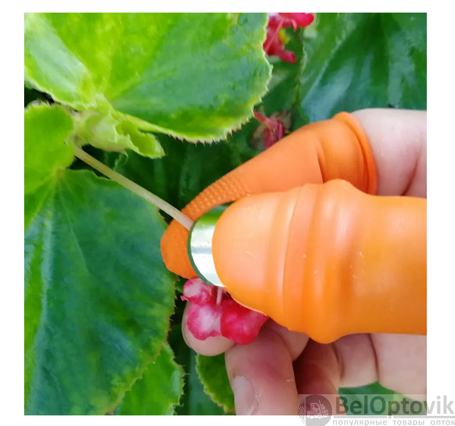 Садовый нож секатор на палец для сада и огорода (напальчник, обрезчик) (набор из 6 предметов) - фото 5 - id-p216373878