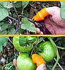 Садовый нож секатор на палец для сада и огорода (напальчник, обрезчик) (набор из 6 предметов), фото 8