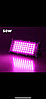 Фитопрожектор светодиодныйPlant grow light50 Вт, IP66, 220 В,50LEDламп,19.50 х 9.50сммультиспектральныйдля, фото 3