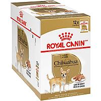 Royal Canin CHIHUAHUA (паштет), 85 гр*12 шт