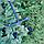 Посадочный маркер Ровная грядка двойной "Tornadica" / два плуга / регулировка борозд по ширине Торнадика, фото 9