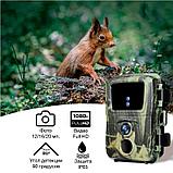 Фотоловушка для охоты, охраны Suntek Mini 600 / Лесная камера / Фотоловушка для дачи, фото 3