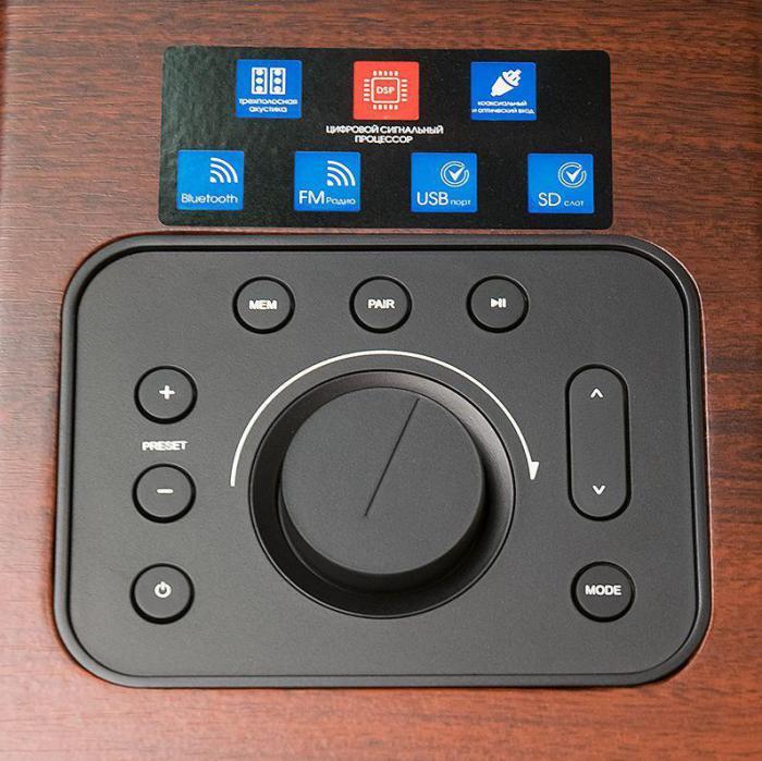 Портативная акустическая система DIALOG AP-2500 коричневая напольная акустика беспроводная Bluetooth - фото 3 - id-p216383263