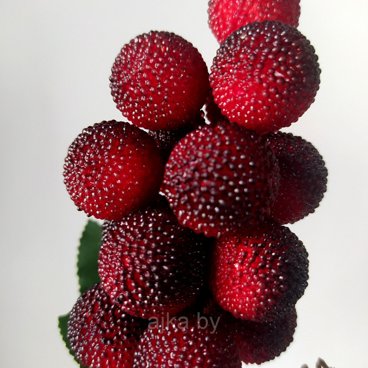 Ветка ягод Ежевика 20 см, красно-черный - фото 2 - id-p216478283