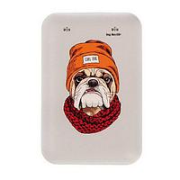 Портативное зарядное устройство Power bank RITMIX RPB-10007 BULLDOG