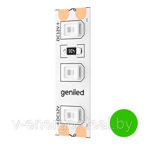 Светодиодная лента Geniled GL-120SMD2835 12В 12Вт/м 8x2000 Зелёная IP33 - фото 1 - id-p216486237