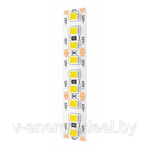 Светодиодная лента Geniled GL-180SMD2835 12В 16Вт/м 10x2000 6000-6500К IP65 - фото 1 - id-p216486246