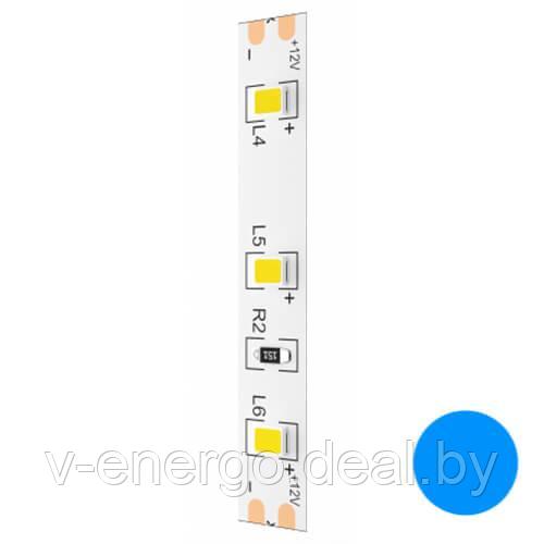 Светодиодная лента Geniled GL-120SMD2835 12В 12Вт/м 8x5000 Голубая IP33 - фото 1 - id-p216486250