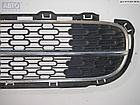 Решетка (заглушка) в бампер Mini Clubman R55, фото 2
