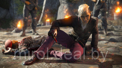 Игра для игровой консоли PlayStation 4 Far Cry 4 - фото 2 - id-p216501908