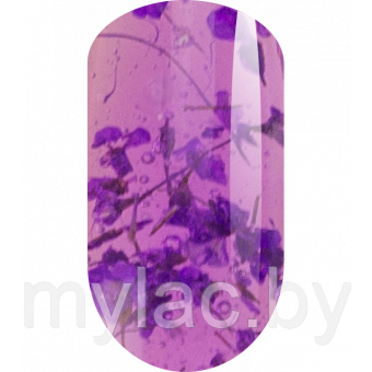 Гель витражные с сухоцветами TA2 PURPLE 5 g