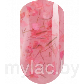 Гель витражные с сухоцветами TA2 ROSE 5 g