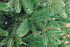 Ель искусственная Бифорес Фантастика светло-зеленая 1.65 м / ФНС165, фото 2
