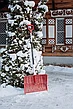 Скрепер, снегоуборочная лопата, движок для уборки снега Fachmann 05.003 Пластмассовая, ручка металл, фото 4