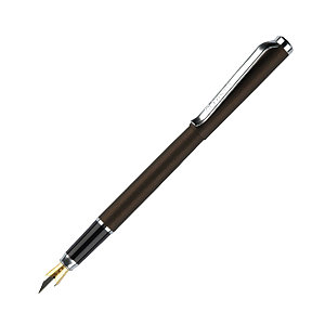 Ручка перьевая Luxor Rega синяя, 0,8 мм, корпус графит/хром, футляр