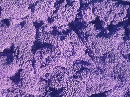 Шариковый пластилин (фиолетовый) - фото 3 - id-p216582464