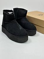 Женские ботинки УГГИ UGG Classic Mini Platform