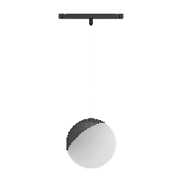 MAG 25 BALL Магнитный трековый светильник, 6W 4000K, черный