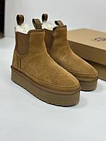 Женские ботинки УГГИ UGG Neumel Platform Chelsea