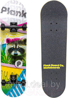 Скейтборд Plank Raccoon P22-SKATE-PACCON - фото 1 - id-p216607510
