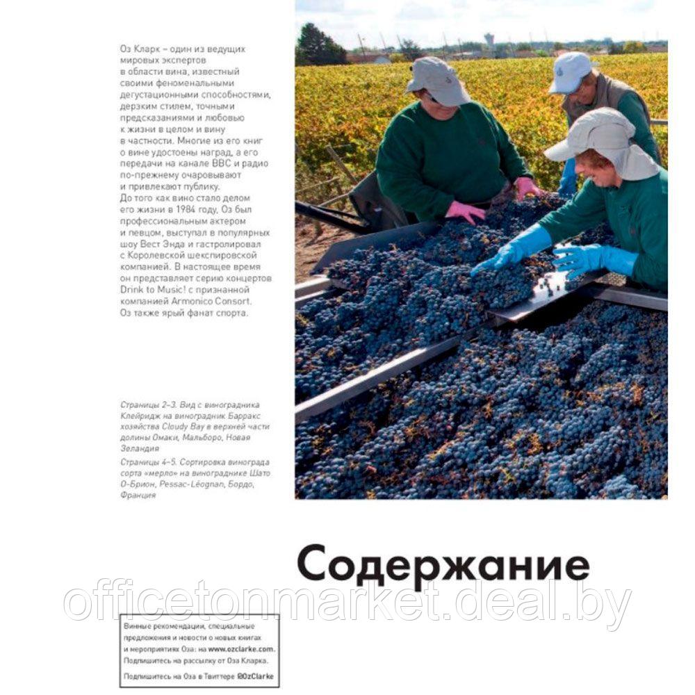 Книга "Мир вина. Вина, сорта, виноградники", Кларк Оз - фото 3 - id-p211042138