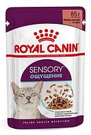 Влажный корм для кошек Royal Canin Sensory Feel (соус) 85 гр