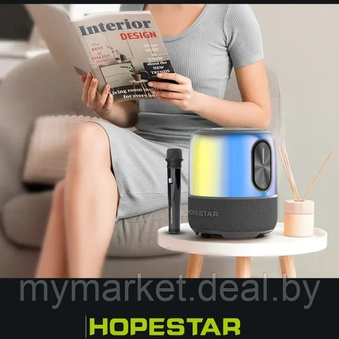 Колонка портативная музыкальная Bluetooth HOPESTAR SC-01 с микрофоном - фото 6 - id-p216644239