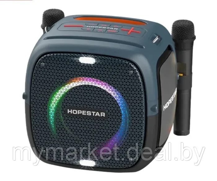 Колонка портативная музыкальная Bluetooth Hopestar PARTY ONE с 2 микрофонами - фото 5 - id-p216644278