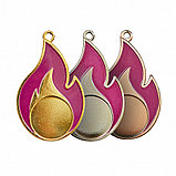 Медаль " Огонь" 3-е  место ,  41*66 мм , без ленточки , арт.600 Бронза, фото 3
