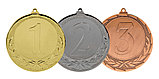 Медаль "Награда" 1-е место ,  70 мм , без ленточки Серебро, фото 2