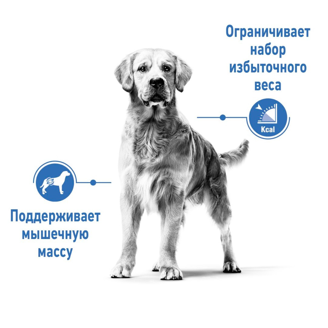 Royal Canin Light Weight Care Medium, 3 кг - фото 2 - id-p216652564
