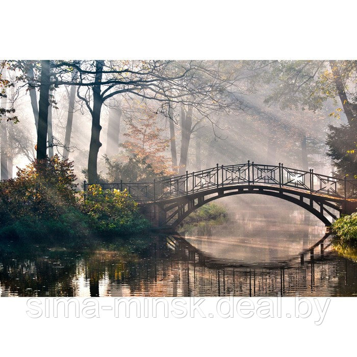 Картина на подрамнике "Мост в парке" 40*50 см - фото 1 - id-p216658464