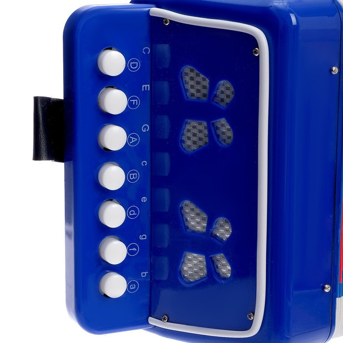 Музыкальная игрушка «Гармонь», цвет синий - фото 4 - id-p180503615