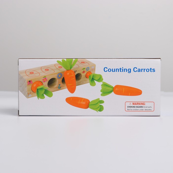 Развивающий набор «Посади разные морковки» 20 × 5,5 × 5 см - фото 5 - id-p216661561