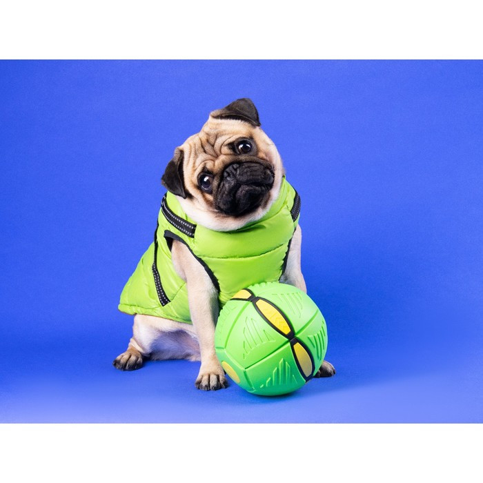 Мяч - фрисби для собак "НЛО" зелёный, 16 см - фото 7 - id-p203561442