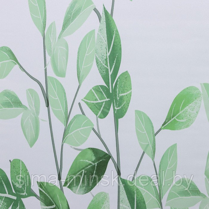 Штора рулонная «Ветви», блэкаут, 120×200 см, цвет белый - фото 2 - id-p199556636