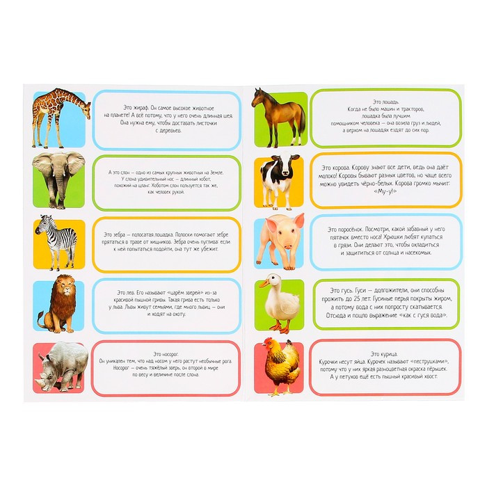 Обучающий набор «Весёлые животные»: животные и плакат, по методике Монтессори - фото 6 - id-p180499881