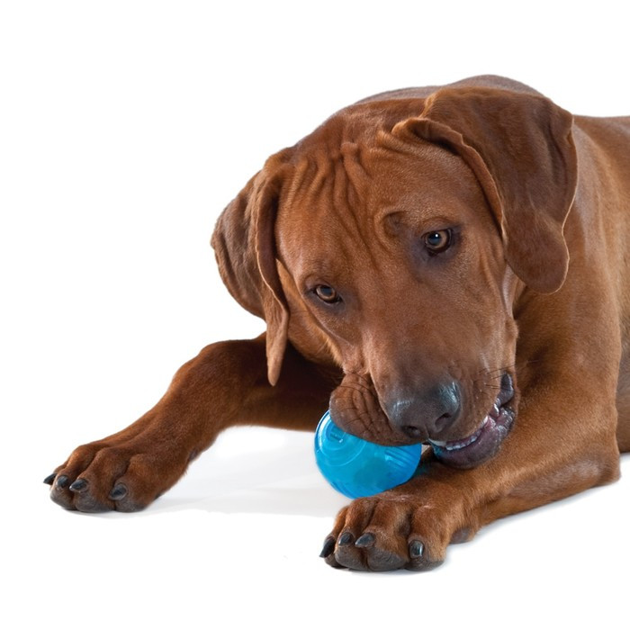 Игрушка Petstages "ОРКА теннисный мяч" для собак - фото 3 - id-p216660152