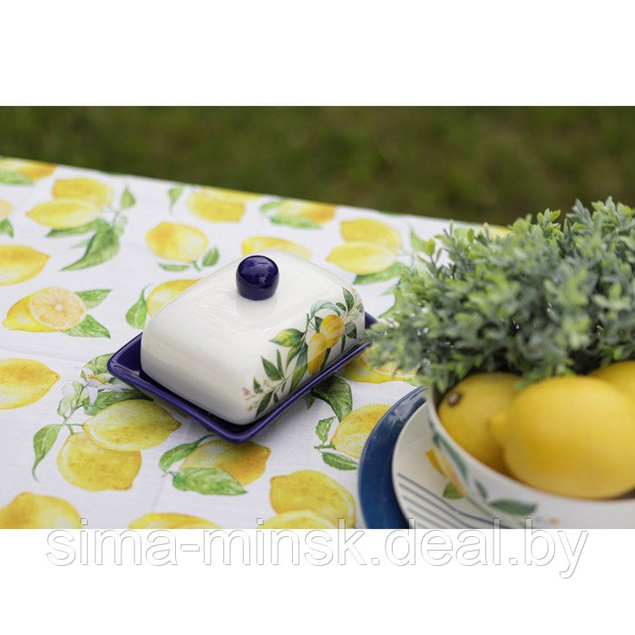 Маслёнка Доляна «Лимон», 17×12×8,5 см, цвет белый - фото 9 - id-p193619923