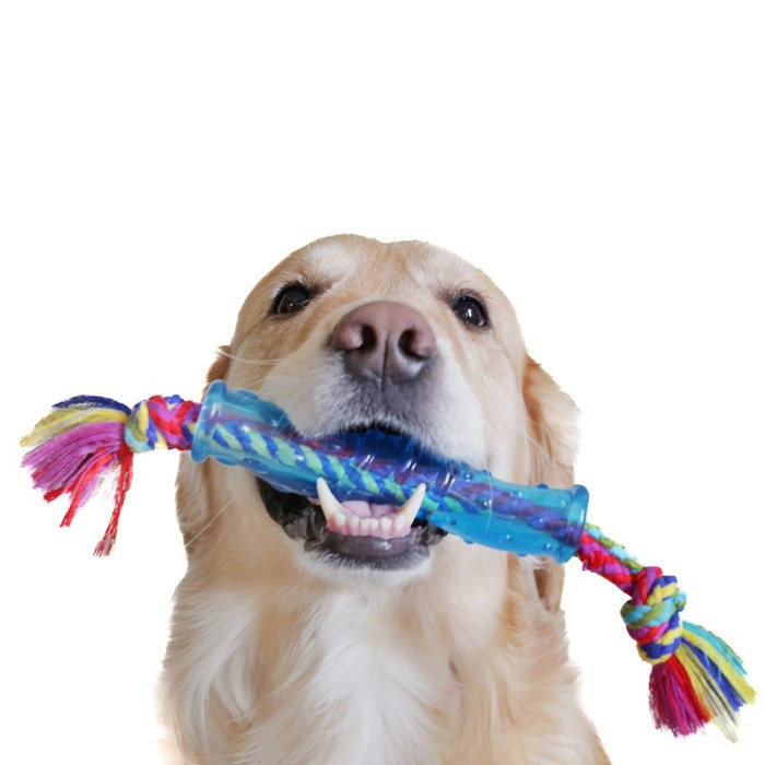 Игрушка Petstages"ОРКА палочка" для собак, средняя - фото 3 - id-p216660161