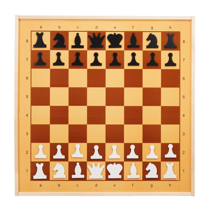 Демонстрационные шахматы и шашки магнитные, поле 70 х 70 см - фото 1 - id-p180511034