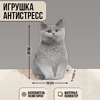 Игрушка-антистресс «Серый кот», 19х28 см